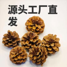 ������Ȼ�����ɹ������b��}�Qʮ�ֹ����~�ɳ�Ʒ�_��Ц�ֹ��ɹ�