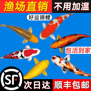 ���N�\���~���~���^�p�~��ˮС�\����ˮ�~���~�t���~С�ͺ��B�ͻ�