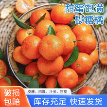 ���۶�֭ɰ���٬F�ɬF�lƤ������^�����Ӯ������r����ɰ�������l