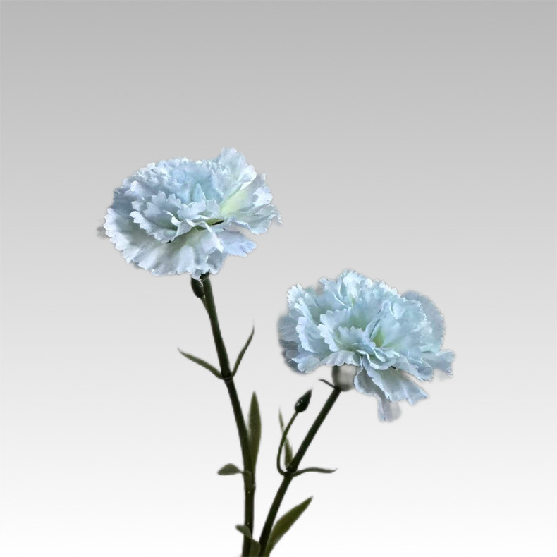 라이트 블루