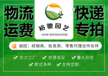 �������f�M�Ì�����ľֲ�ﻨ���辰�Gֲ�̨���f�M����