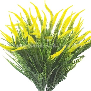 ����޹�²� �Gֲ��β�Ͳ� ֲ���b��쾰�҃Ȕ[���JȔ���Է��滨