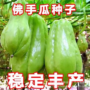 ���ֹϷN���¿�ԭ�b���|��������r�ùϹ��߲˷��ֹϹ�ͥԺ�˷N��
