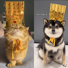 ����؈��ʵ�ñ��ք���m͢�^��^��cos��ʼ���^��ñ������