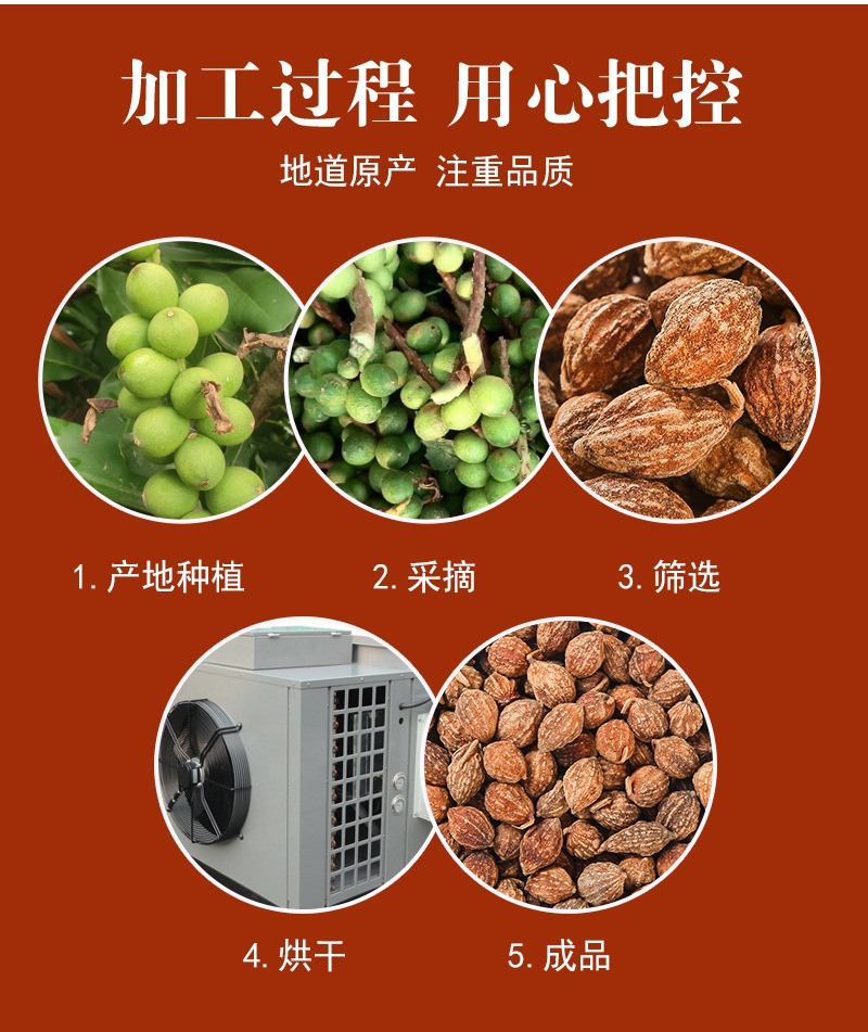 Yi Zhi Ren (Alpinia oxyphylla) — Dried Food-Herb Fruit for Tea, Soup & Spice Blends in use