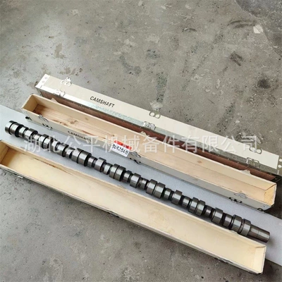 Direct Supply from the Crankshaft, camshaft