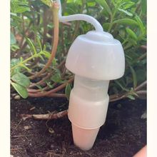 �����������ڳ����Ԅӝ�ˮ�����̨����ι�ֲ���ˮ�������ԝBˮ