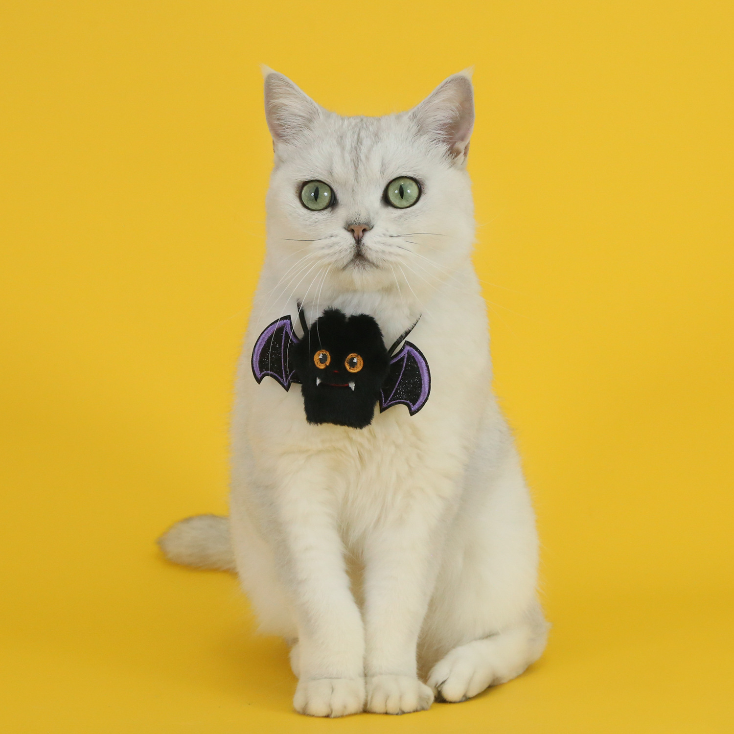 Mascotas gatos perros Halloween calabaza sombrero araña fantasma bib collar dibujos animados peluche accesorios de fotografía vestido