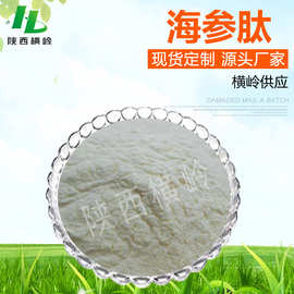 海参肽98% 海参提取物 小分子肽 海参蛋白肽粉 100g/袋 现货包邮