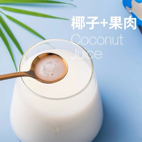 Hainan Special Breed Coconut Juice 1.25L Freshly Extracted Coconut Meat Coconut Milk Large Bottle Banquet Wedding Fruit-flavored Beverage