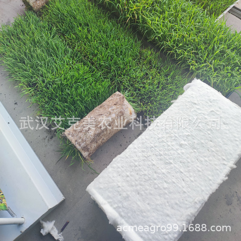 O1CN019q2xir2NcGdz2f0ng_!!9430