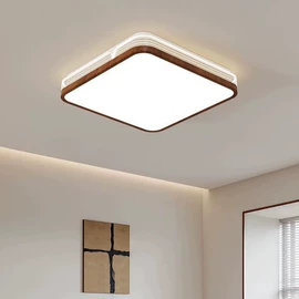 吸顶灯;吊灯;室内壁灯