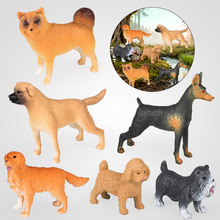 ���挍�Ą���ģ��̩��Ȯ��ëȮѩ�{��Ȯ��������Ȯ���eȮ��ͯ���