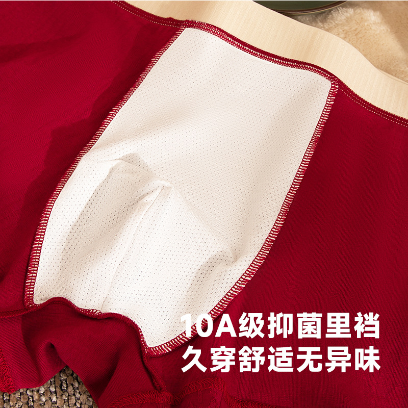 Celebración de la vida de los hombres de algodón 10A antibacteriano Jacquard gran tamaño respirable panty panty