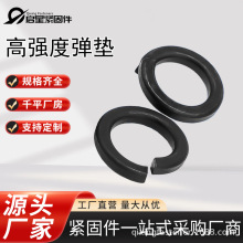 8.8���ߏ��ȏ��|�l�ڏ��ɉ|Ȧ̼䓏��|Ƭ���Ӊ|Ƭ���_�ڏ��ԉ|Ȧ