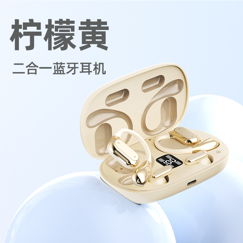 Q25 이어폰 (스킨톤)