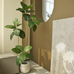 ���������Ƥ�Ł����L�҃ȼҾ��b�����ؔ[���پGֲ�辰�쾰