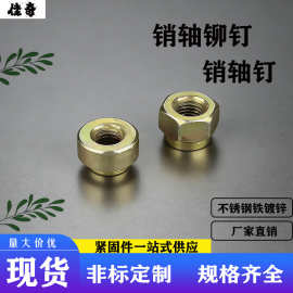 厂家精品推荐 销轴钉 销轴铆钉 非标 精湛工艺 品质优选 质量承诺