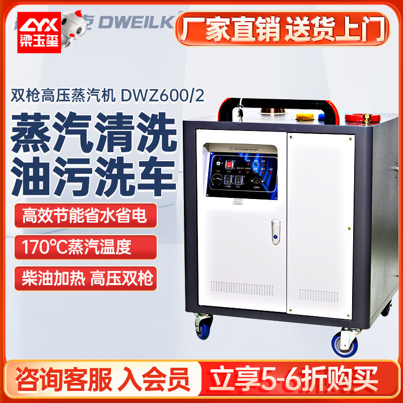 德威莱克DWZ600/2高压蒸汽清洗机工业 高温蒸汽洗车机器设备厂家