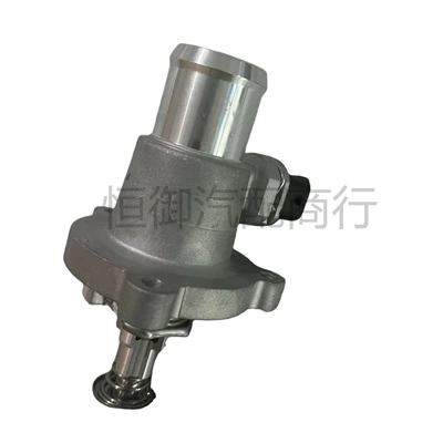 Thermostat for the Thermostat