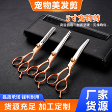 宠物剪5寸厂家定制批发猫狗造型修毛套装宠物店专用美容工具剪刀