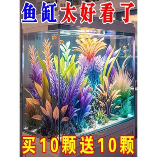 R¿~bˮݡٻٲˮ쾰Ʒײ2026