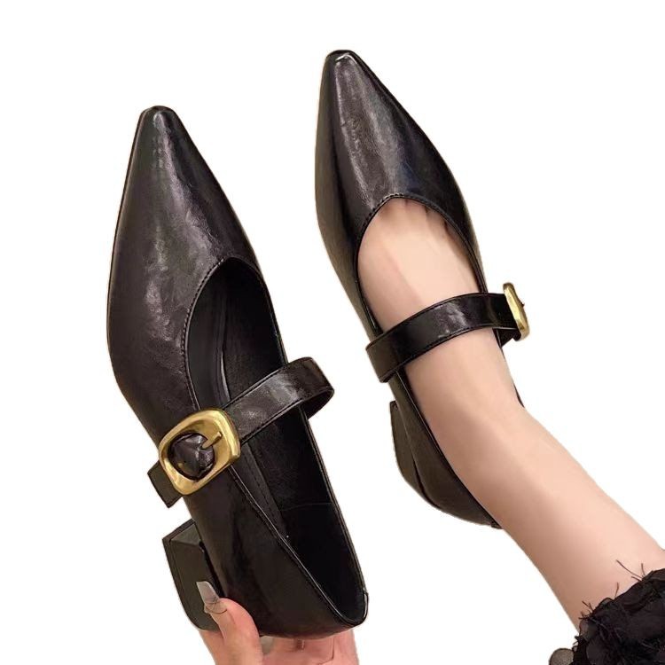 New Soft Leather French-style Soft-soled Elegant Low-heel 2025 Mary Jane Women's Shoes With Pointed Toe And Chunky Heel,_vogvips.com