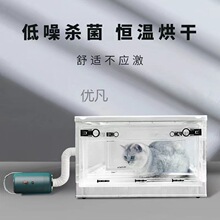 宠物烘干箱吹水机烘干机家用小型猫咪狗狗吹毛洗澡吹风箱吹干