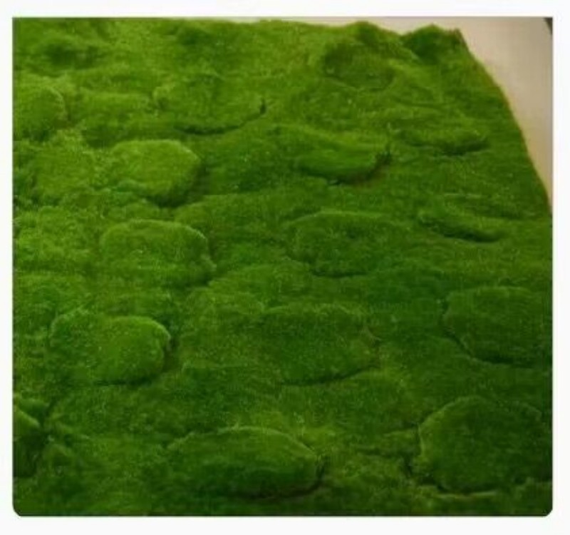 QQ图片20230825164131_副本