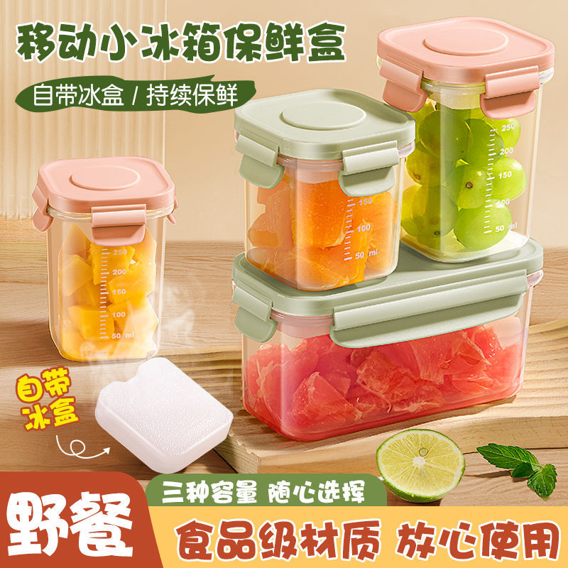 Fruit and Food Lunch Box for Baby Food, Comes with Ice Pack, Portable Cold Storage and Preservation Box, Large Capacity
