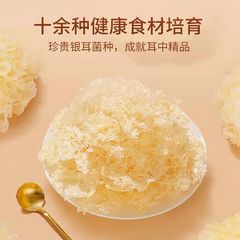 古田メーカー直供草本耳無洗無泡高級抽出インスタント高級銀耳乾品食感繊細