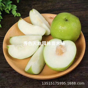 ��������̨�������������ţ�̗��۽z���޽�����������箔��Y��