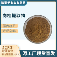 肉桂提取物肉桂粉肉桂水溶粉肉桂萃取粉肉桂