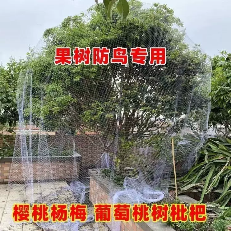 批发果树防鸟罩嘉宝果枇杷樱桃蓝莓果园尼龙防护网菜地阳台保护罩