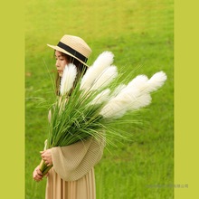 �JȔ�ݷ��滨�͏d�[���ɻ��҃��b[�O��β�Ͳ���ؾGֲ�쾰�ٻ�