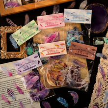 ������ëϵ��PVC��ˮ�N����͸����ɫ�����֎��b�ƴ�N�ز�DIY�N��