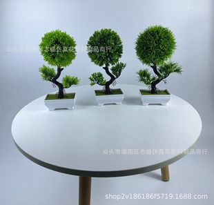 �羳���滨�������Է���Gֲӭ�����°زݽ��~�݁��R�d�S��ֱ�N
