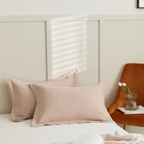 A solid-color 100% cotton pillowcase, one 100% cotton bed sheet, one bed skirt, 100 pieces of velvet for autumn and winter, a pair of 48*74cm single-sized ones