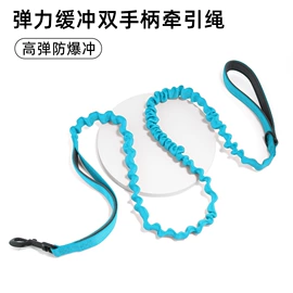 狗狗牵引;宠物项圈;猫猫牵引