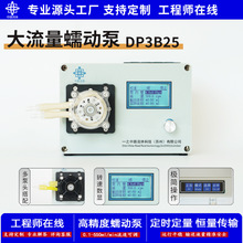 实验室大流量蠕动泵DP3B25 实验室滴定泵高精度小型补液计量泵