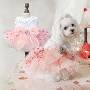 PETCIRCLE������С��؈���·����˹����ĶY����ȹ�l�·����