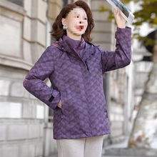 ���ꋌ����q����đŮ������һ2025�¿�����������Bñ�ɼ����b