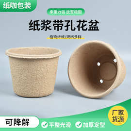纸浆带孔花盆种苗培育盆家庭园艺一次性可降解多肉种植绿植