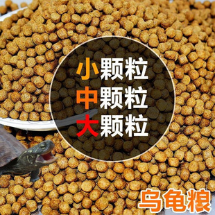 Turtle Feed, Crocodile Turtle Feed, Stone Money Turtle Feed, Turtle Food, Brazilian Turtle Feed, Small Turtle Feed, Turtle Food Universal