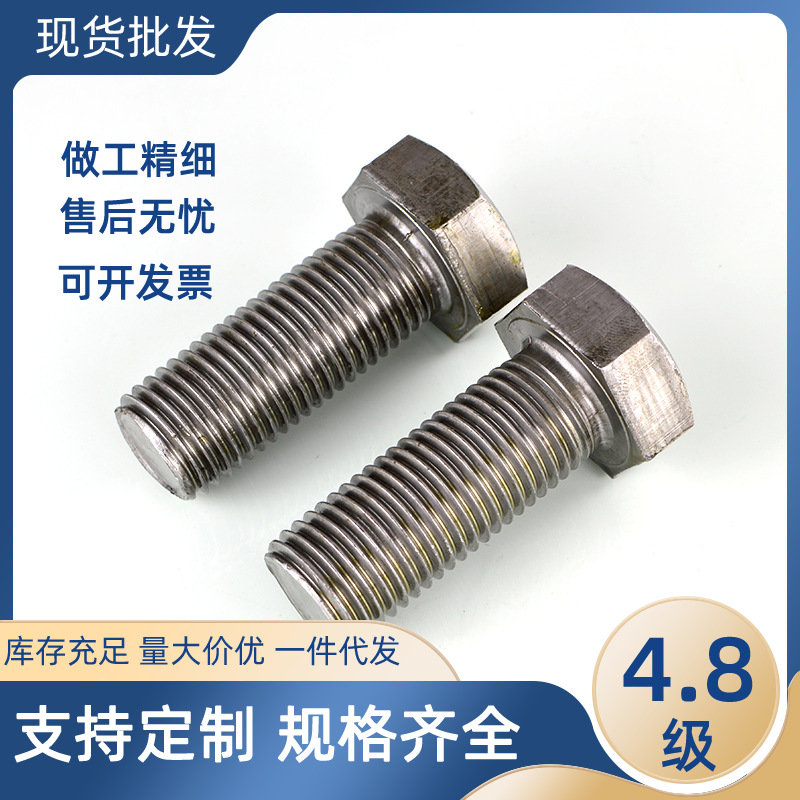 厂家批发隧道螺栓高品质六角螺丝4.8级六角螺栓加长螺杆本色