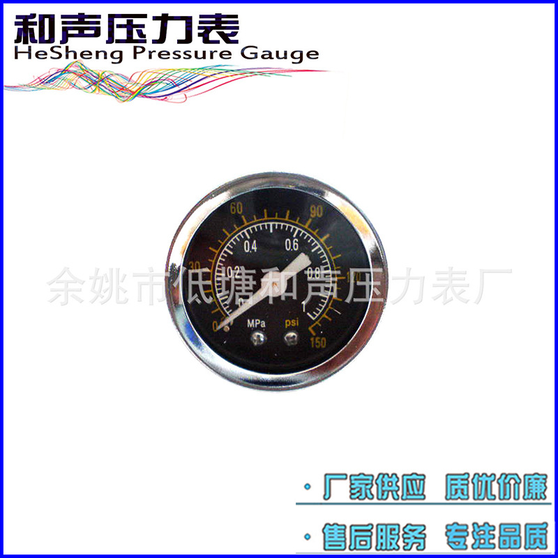 ��Ҧ�����Ǳ�����Ӧ��ͨѹ����Y40������4KG�����ѹ����