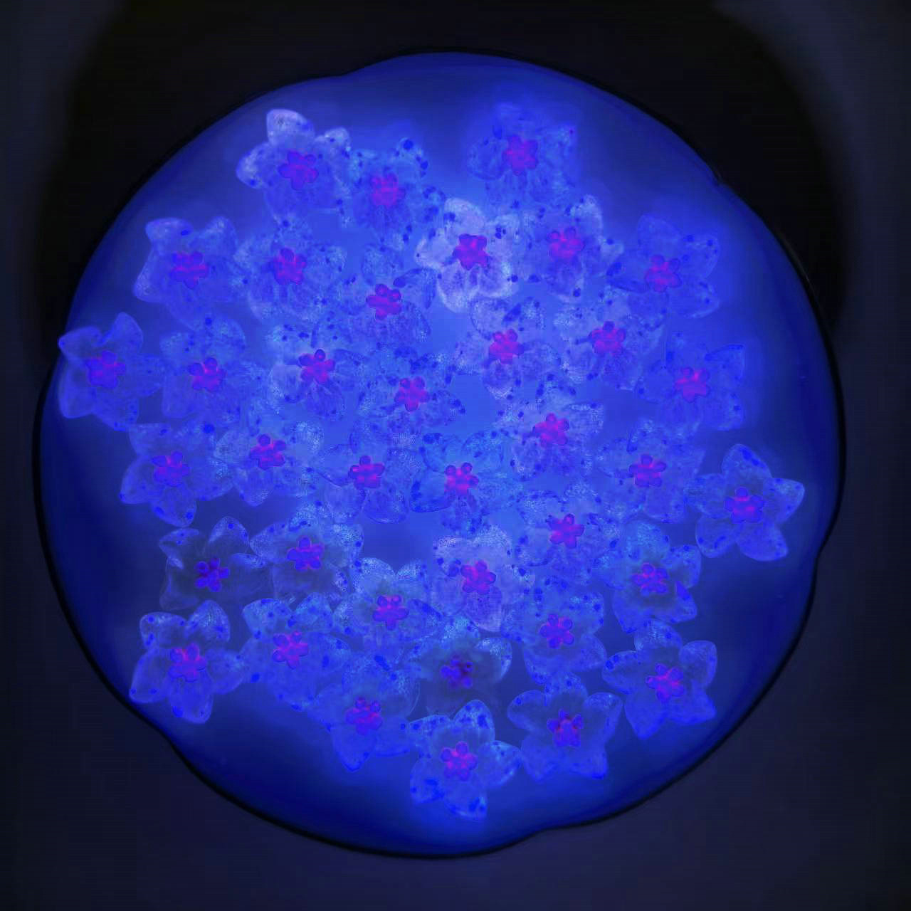 夜光百合花树脂平底钻美甲饰品diy饰品配件批发亚马逊货源_1