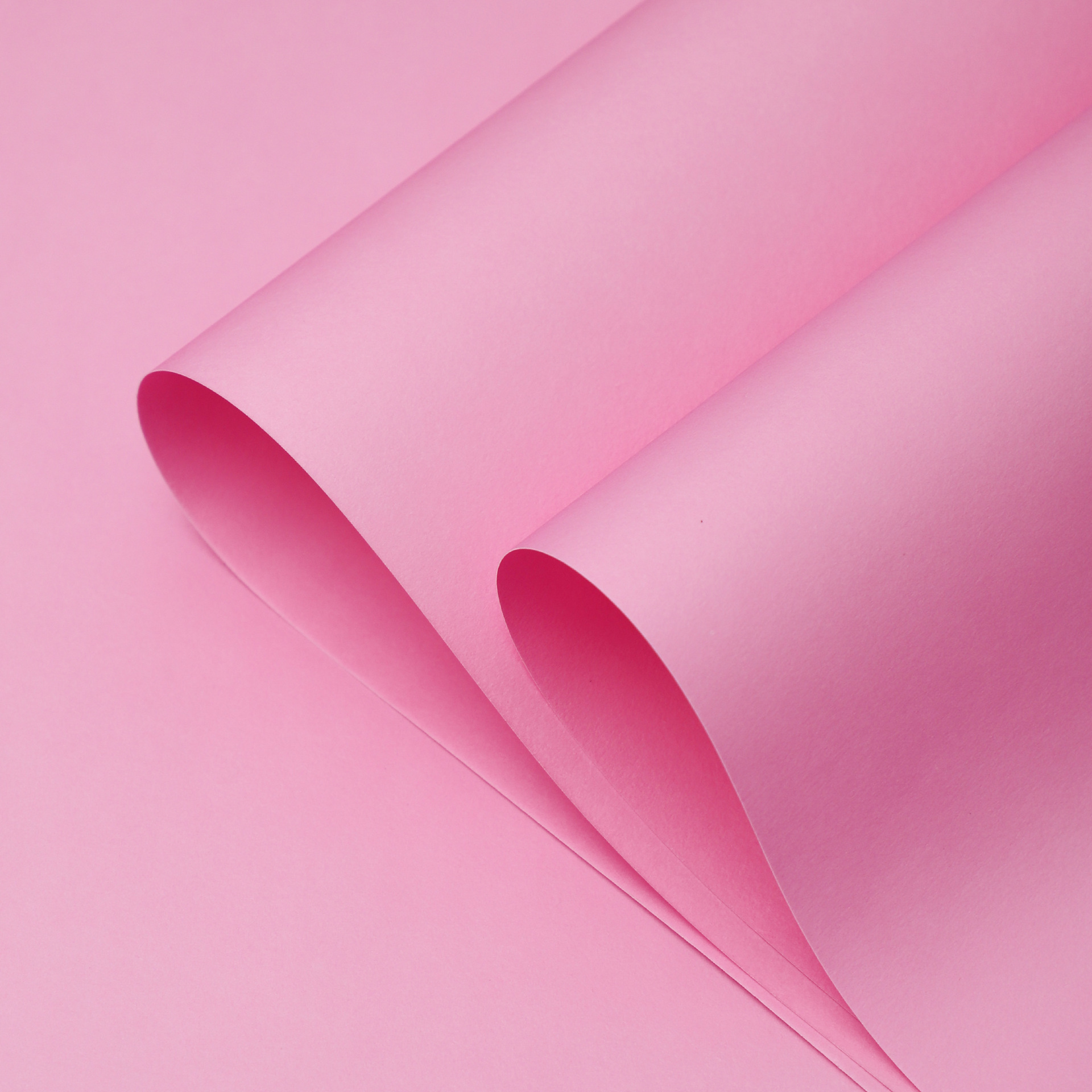 Papel de seda premium de 150 g/m², rosa llama, 44*58 cm, 10 hojas; un paquete
