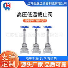 304���P䓺��ӵ͜ؽ�ֹ�y���m�͜��yDJ61F-40PҺ��Һ����Ȼ��ܵ�