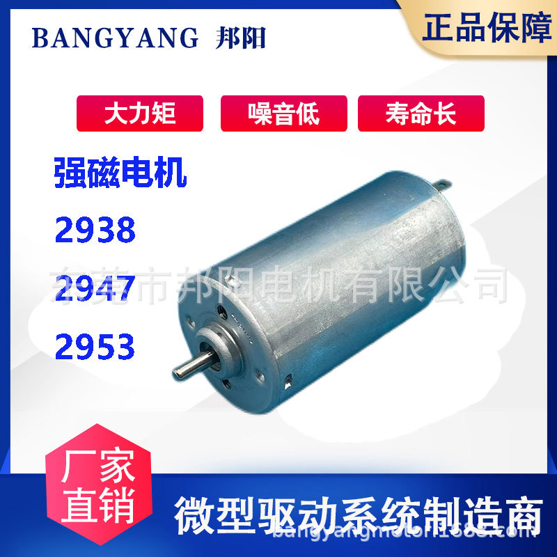 2953系列碳刷电机汽车执行器未来杯钕铁硼强磁低噪音电动窗帘电机